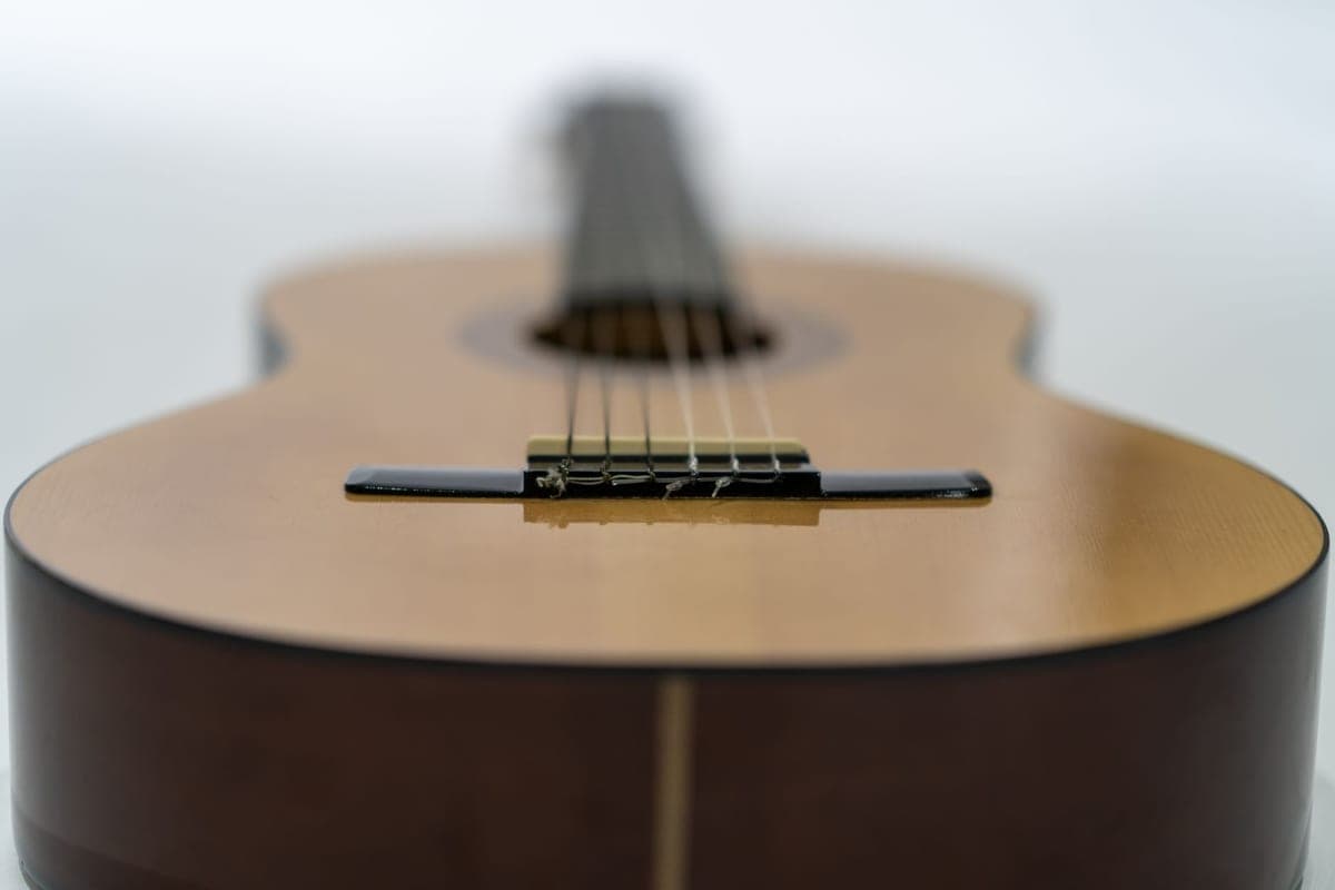 A close-up of acoustic guitar strings
