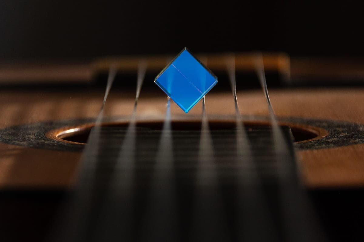 Guitar strings in close-up