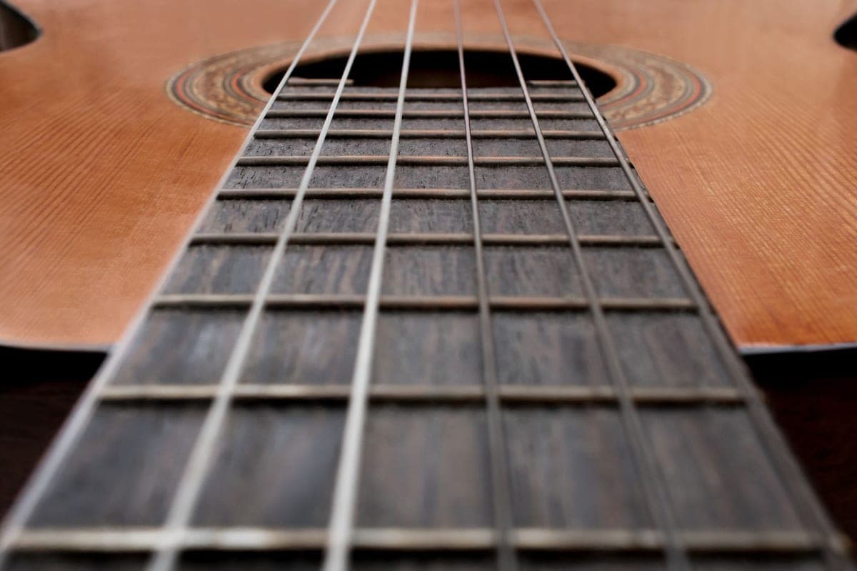 A close-up of a guitar fretboard and strings