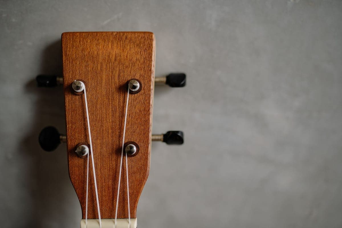 Small guitar accessories including picks and a winder